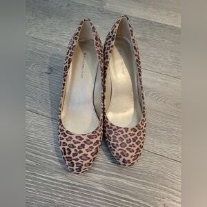 Leopard Print Women's Shoes